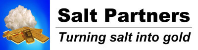Salt Partners